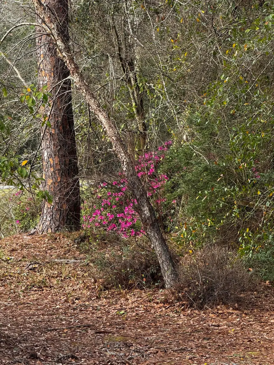 1000 Blk N Blue Angel Parkway, Pensacola, FL 32506 - #2