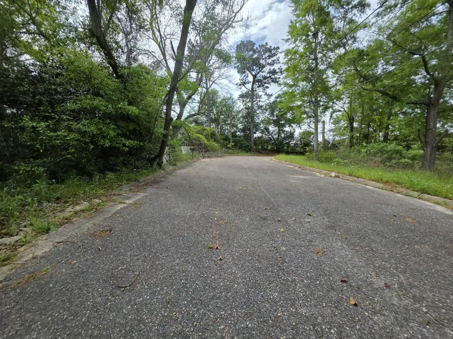 Lot 3 & 4 Gordon Road, Florala, AL 36442 - #2