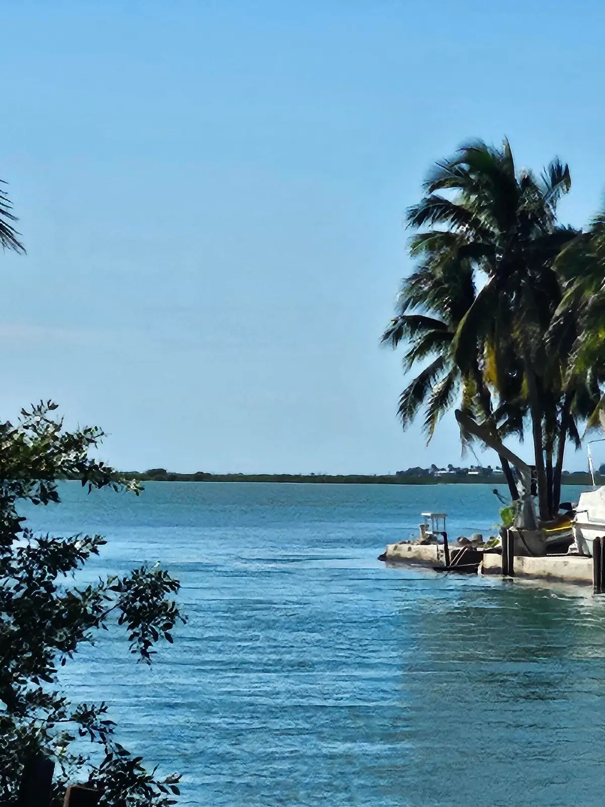 17171 Seagrape Lane, Summerland Key, FL 33042 - Image #1