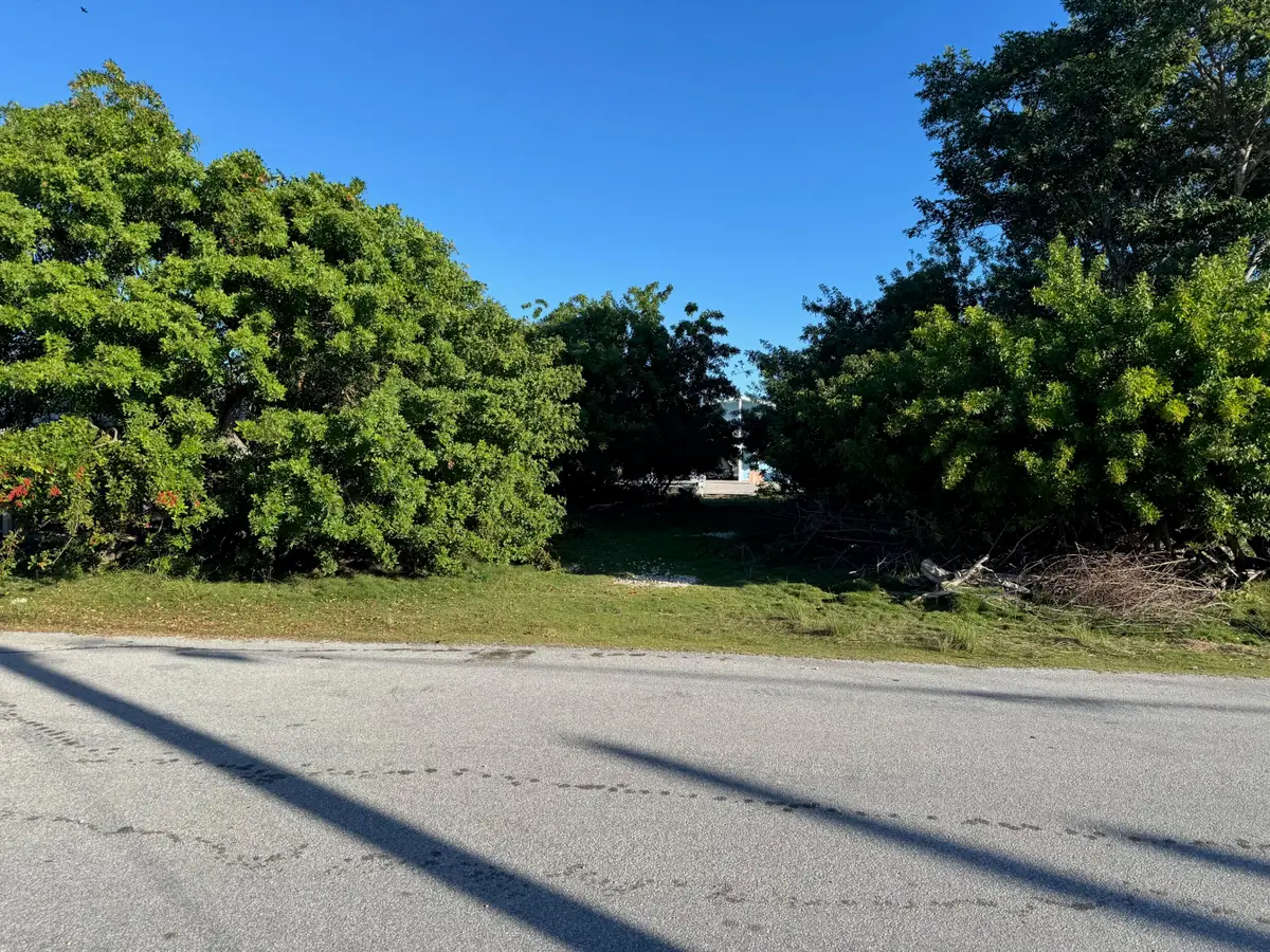 29141 Mango Drive, Big Pine Key, FL 33043 - Image #1