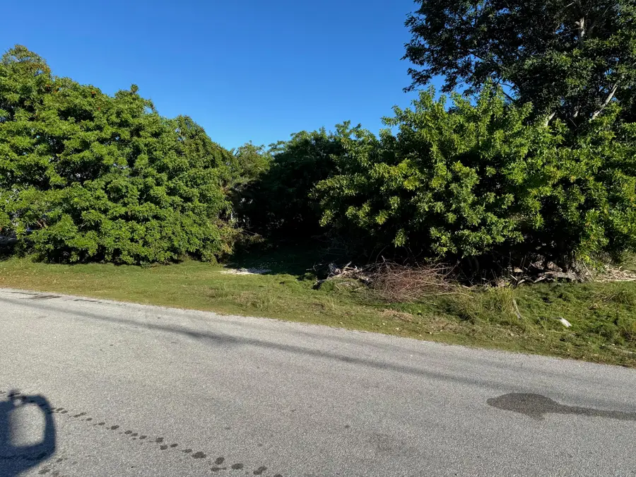 29141 Mango Drive, Big Pine Key, FL 33043 - Image #3