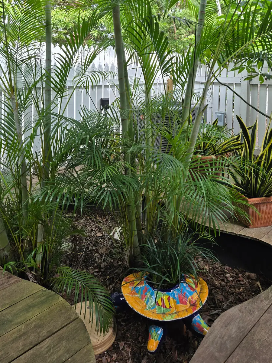 201-2 Southard Street, Key West, FL 33040 - Image #3