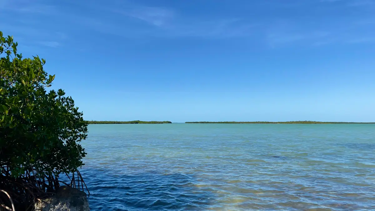 813 2nd Street, Big Coppitt Key, FL 33040 - Image #1