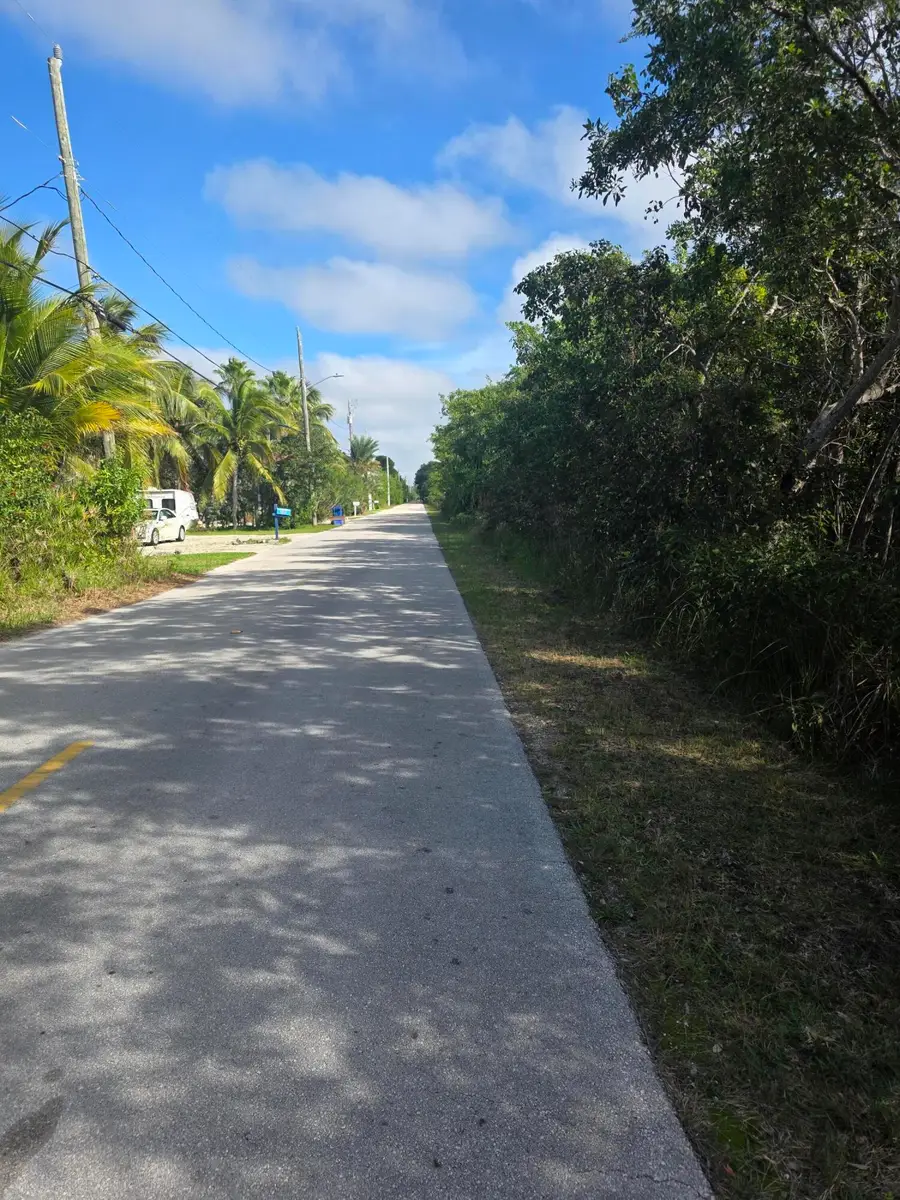 Lot 6 Date Palm Drive, Summerland Key, FL 33042 - Image #2