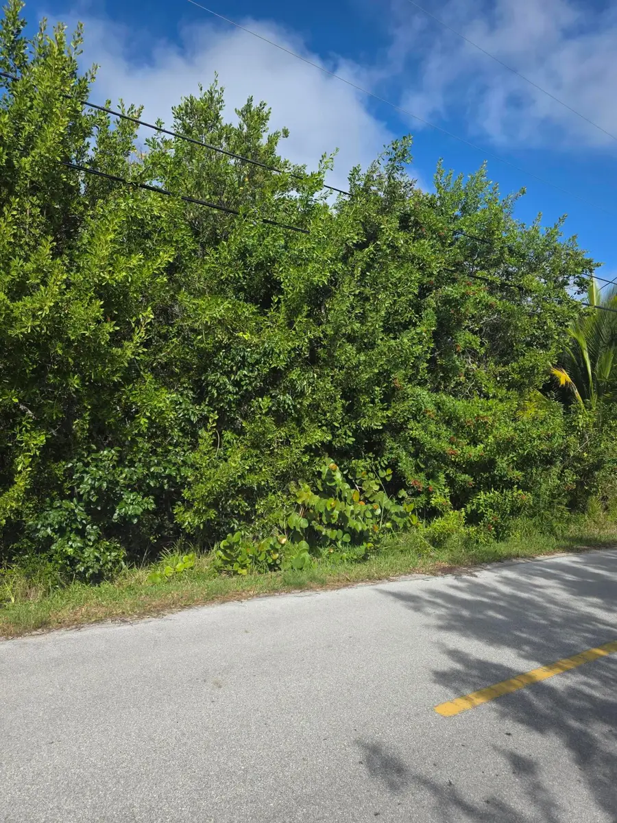 Lot 6 Date Palm Drive, Summerland Key, FL 33042 - Image #3
