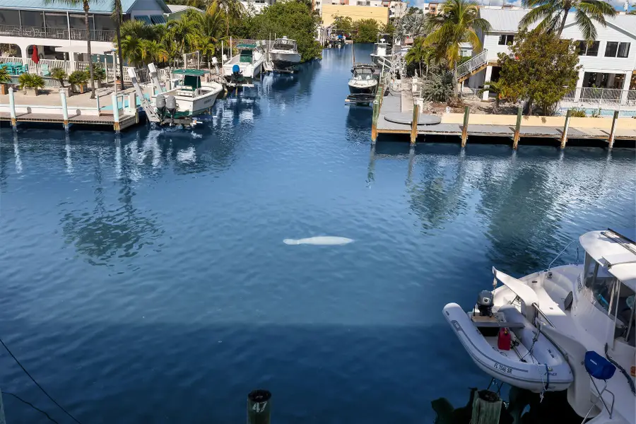 21 Sombrero Boulevard #307, Marathon, FL 33050 - Image #2