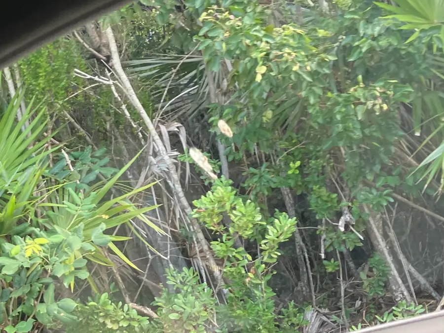 O Indies Road, Lower Keys, FL 33042 - Image #2