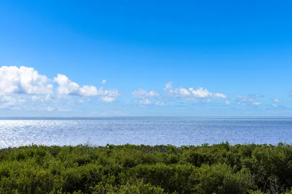 500 Burton Drive #4215, KEY LARGO, FL 33070