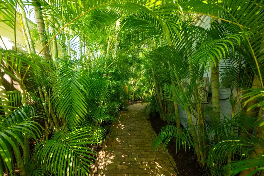 1111 Watson Street #B, Key West, FL 33040 - #3