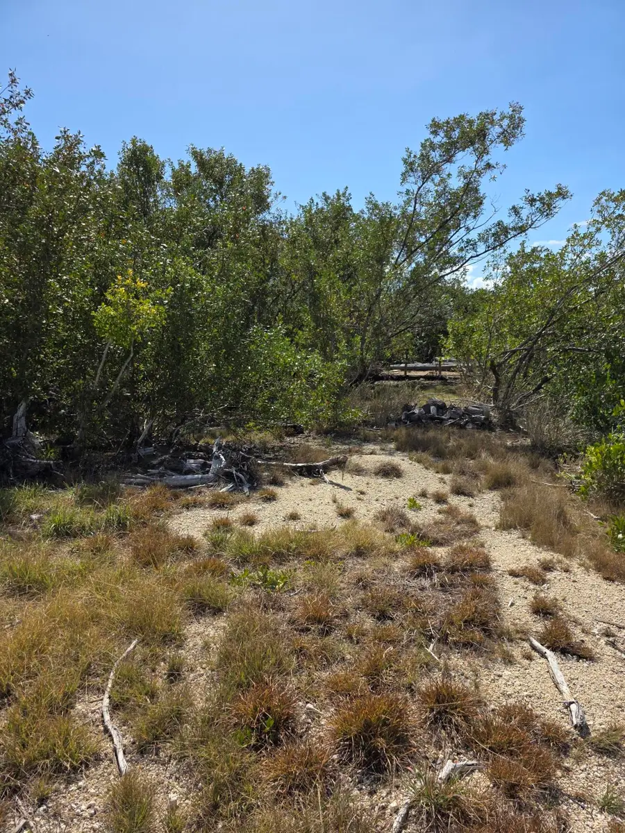 838 Loggerhead Lane, Summerland Key, FL 33042 - #2