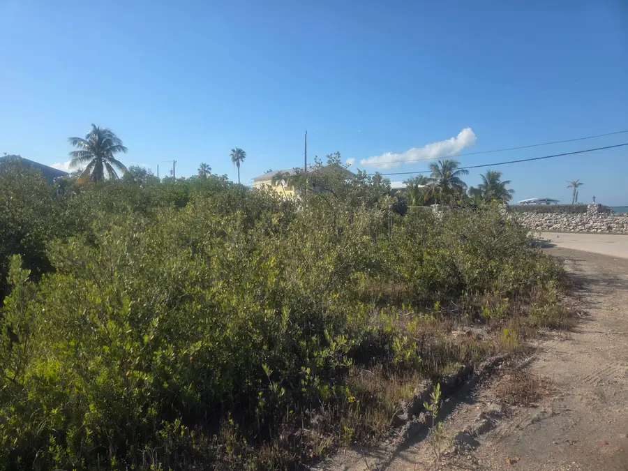 846 Jamaica Lane, Lower Keys, FL 33042 - #3