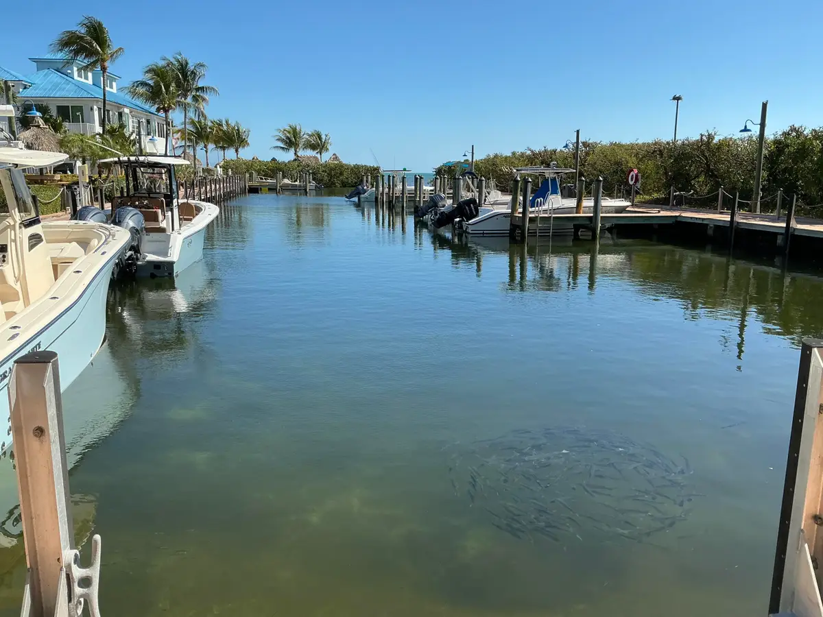 500 Burton Drive #1415, Tavernier, FL 33070 - #1