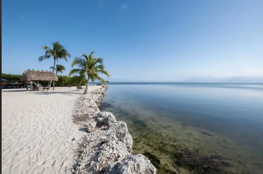 200 Wrenn Street #APT 502, Plantation Key, FL 33070 - #2