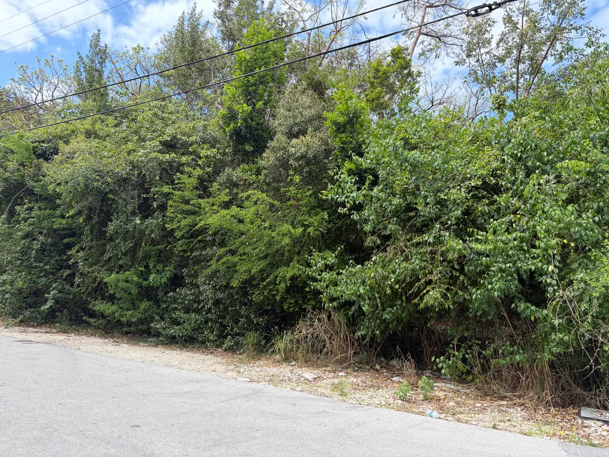 1028 Snapper Lane, Key Largo, FL 33037 - #1
