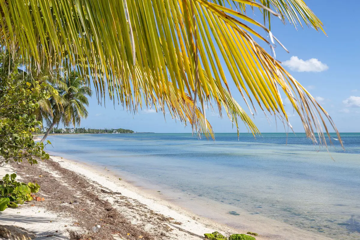 74049 Overseas Highway, Islamorada, FL 33036 - #1