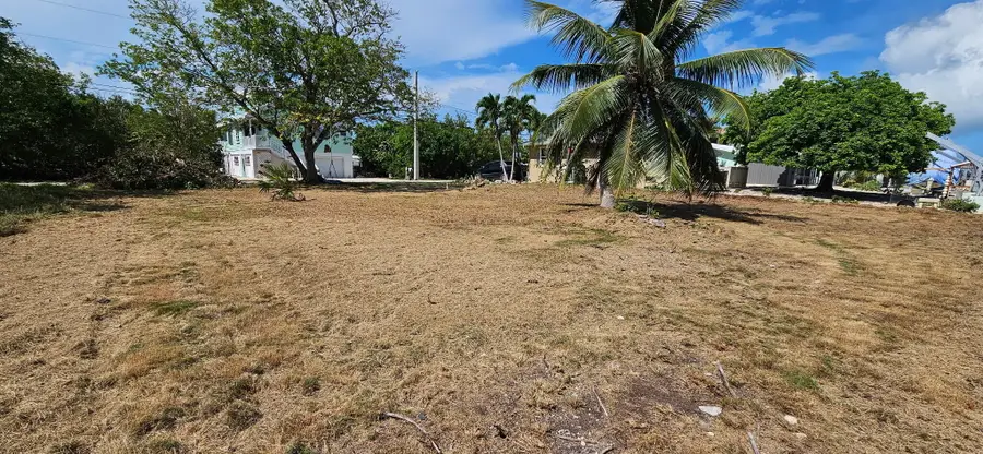 30860 Malaga Lane, Big Pine Key, FL 33043 - #3
