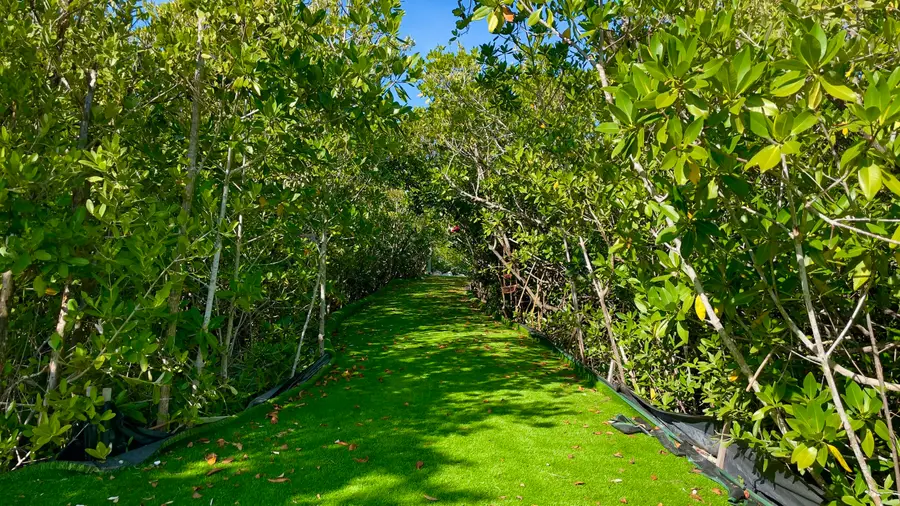 813 2nd Street, Big Coppitt Key, FL 33040 - #3