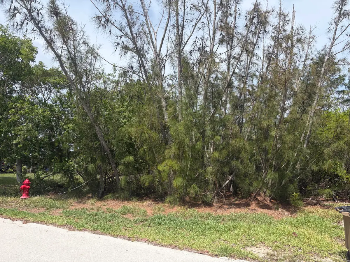 0 Lobstertail Road, Big Pine Key, FL 33043 - #1