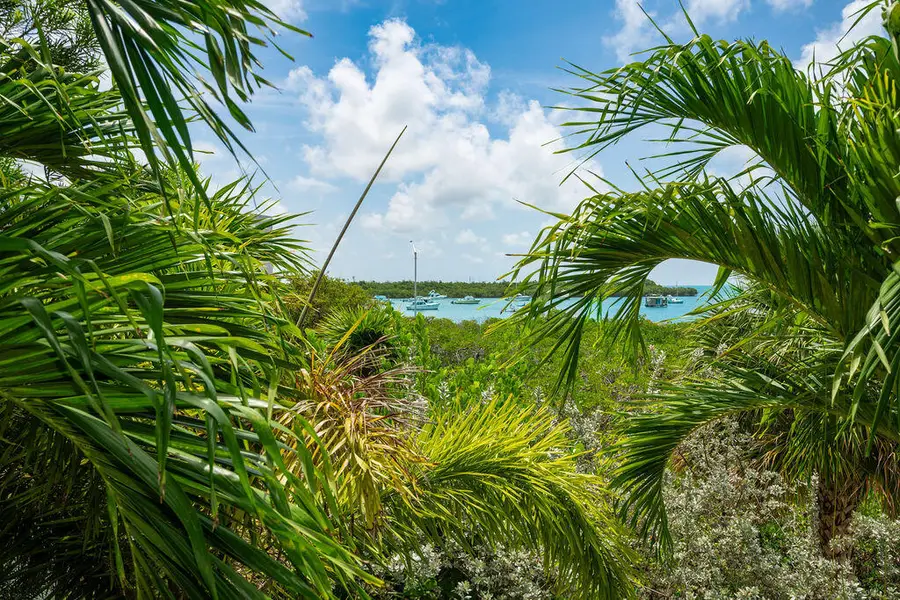 33 Seaside S Court, Key West, FL 33040 - #2