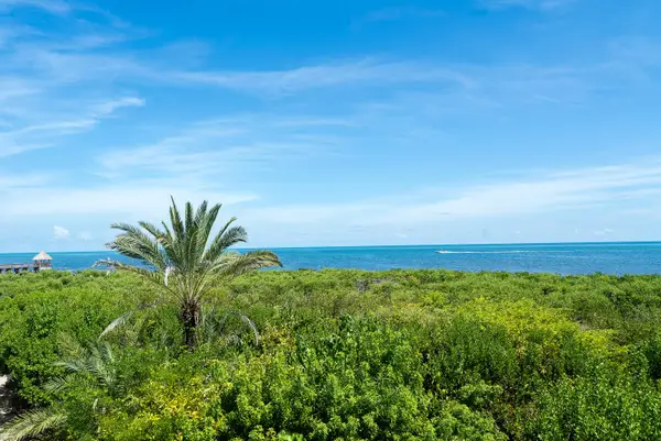 500 Burton Drive #4207, Key Largo, FL 33070