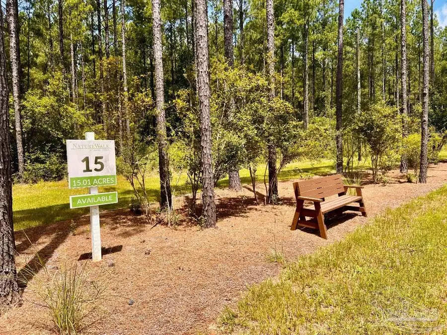 Lot 15 Naturewalk Dr, Jay, FL 32565 - #2