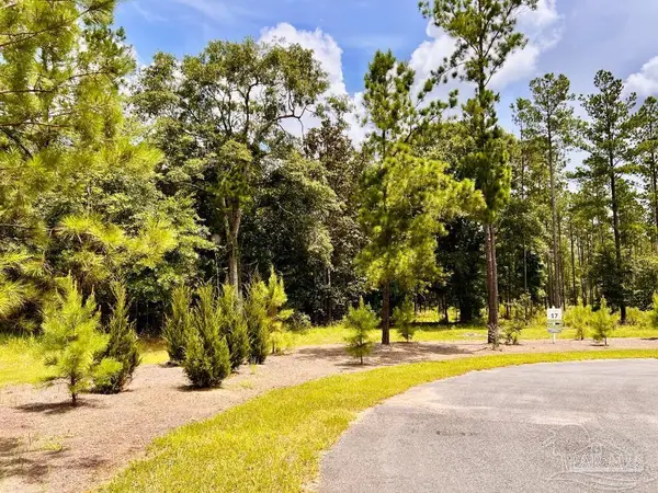 Lot 17 Pine Preserve Ln, Jay, FL 32565