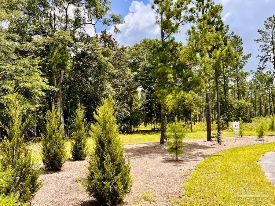 Lot 17 Pine Preserve Ln, Jay, FL 32565 - #2