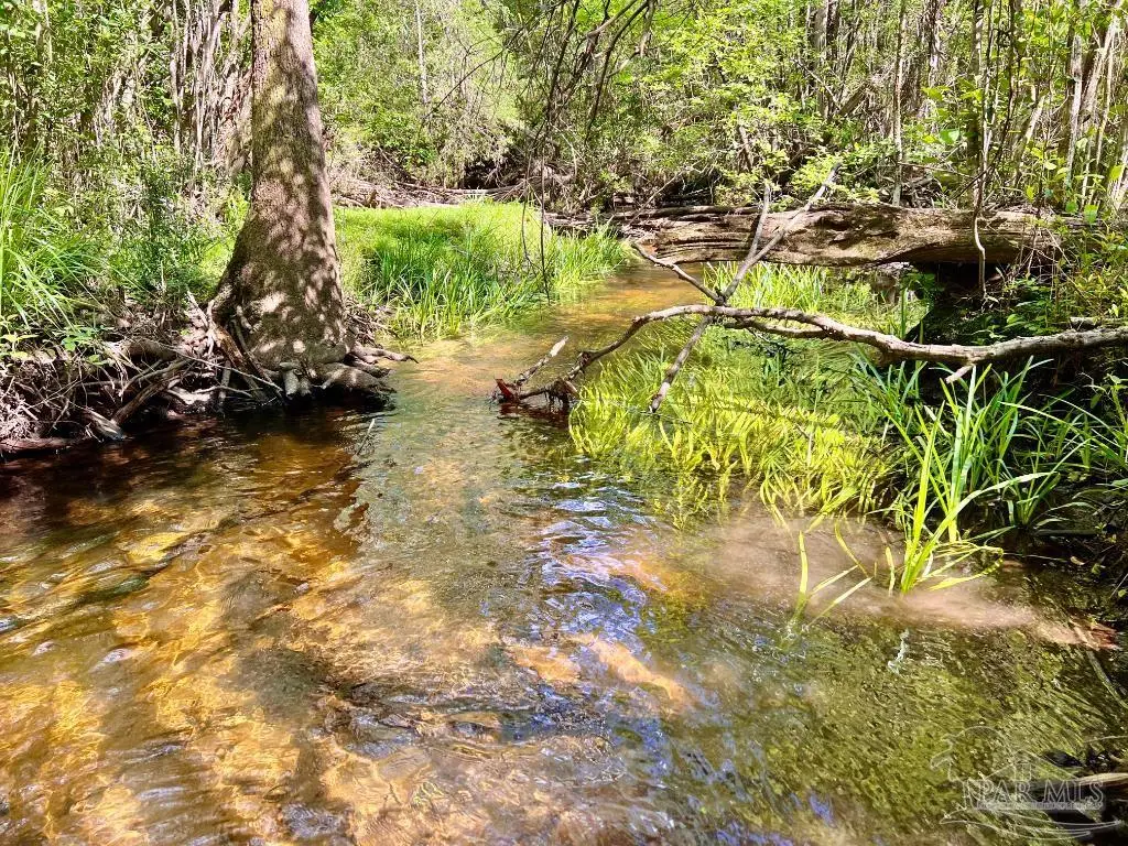 Lot 25 Ashbridge Ln, Jay, FL 32565 - #1