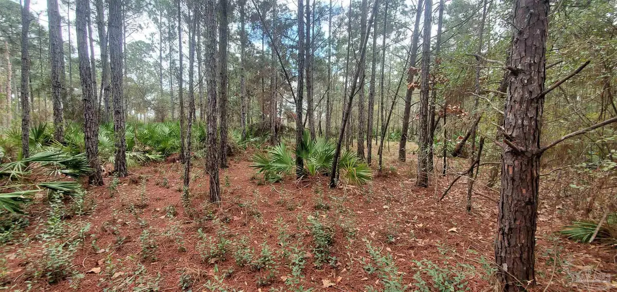 8781 Olivera St, Navarre, FL 32566 - Image #1