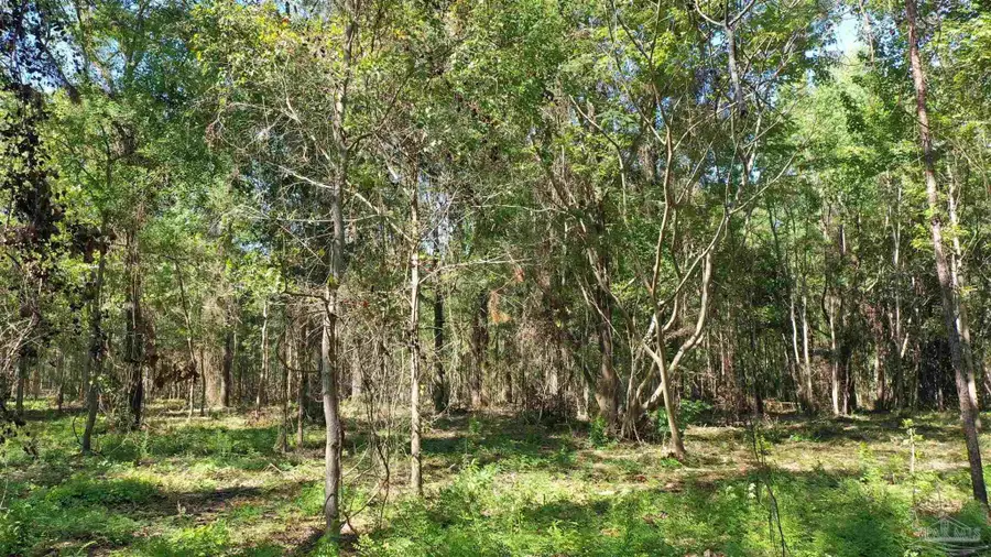 Lot 6 Harris St, Atmore, AL 36502 - Image #2