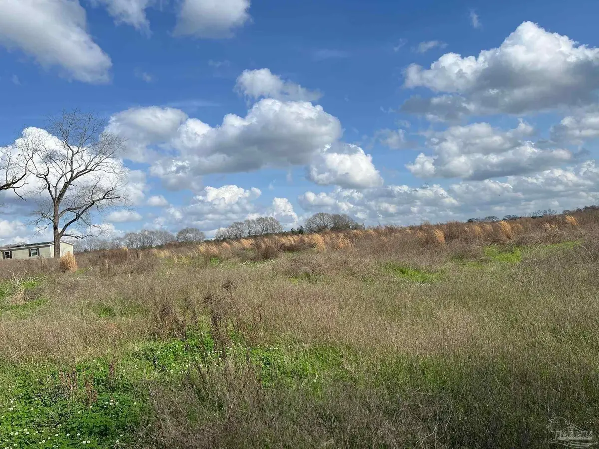 0 T Bridge Rd, Red Level, AL 36474 - Image #1