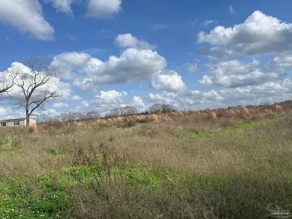 0 T Bridge Rd, Red Level, AL 36474