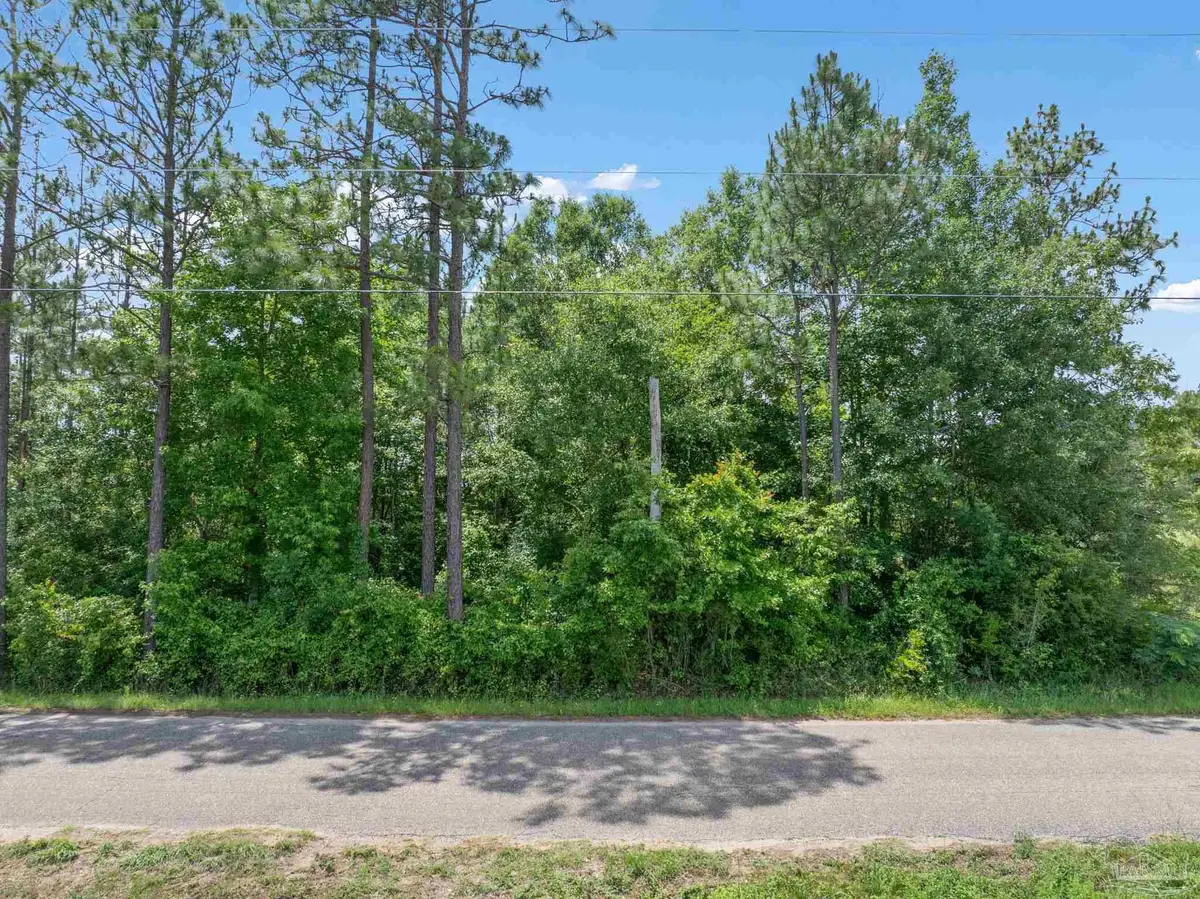 Lot 53 Mineral Springs Rd, Jay, FL 32565 - #1