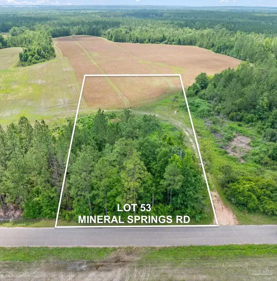 Lot 53 Mineral Springs Rd, Jay, FL 32565 - #2