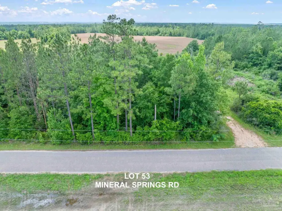 Lot 53 Mineral Springs Rd, Jay, FL 32565 - #3