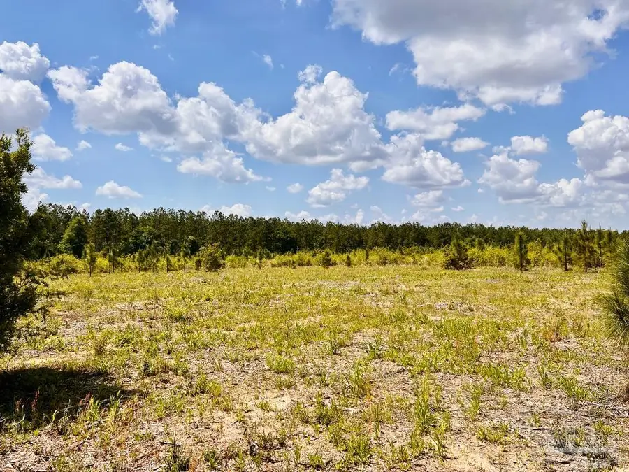 Lot 48 South Timber Ln, Jay, FL 32565 - #3