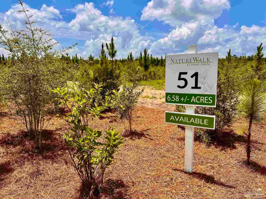 Lot 51 South Timber Ln, Jay, FL 32565 - #2
