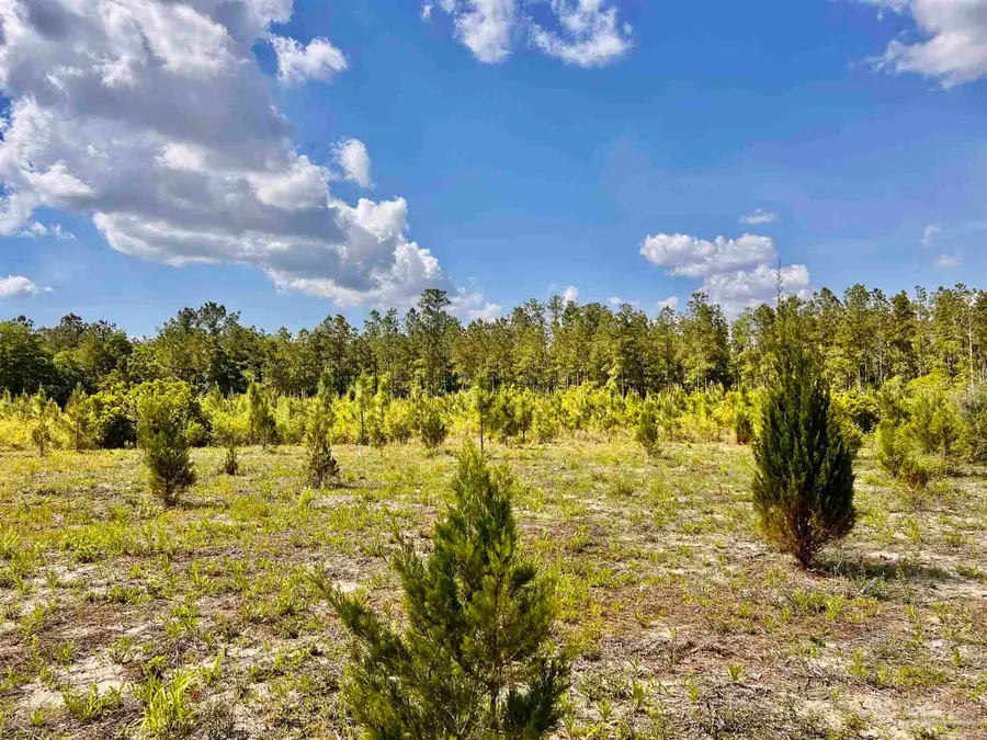 Lot 51 South Timber Ln, Jay, FL 32565 - #3