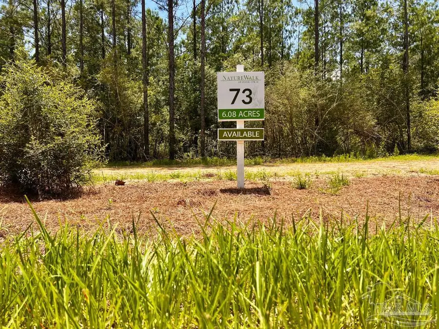 Lot 73 Naturewalk Dr, Jay, FL 32565 - #2