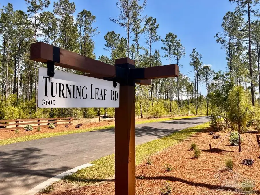 Lot 95 Turning Leaf Rd, Jay, FL 32565 - #3