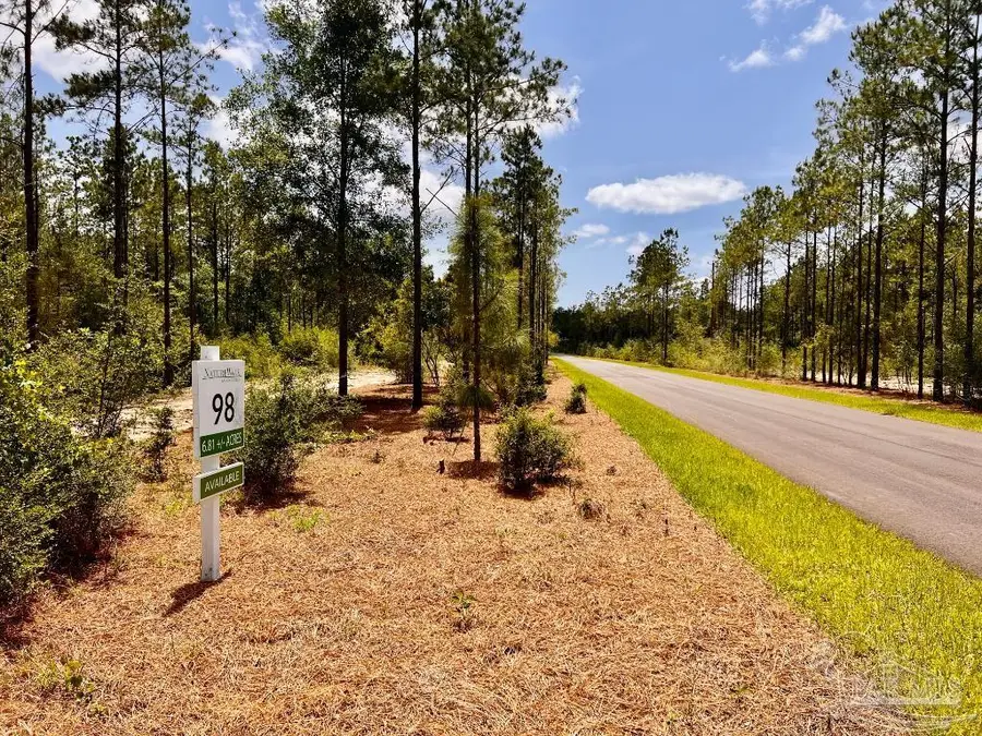 Lot 98 Turning Leaf Rd, Jay, FL 32565 - #3
