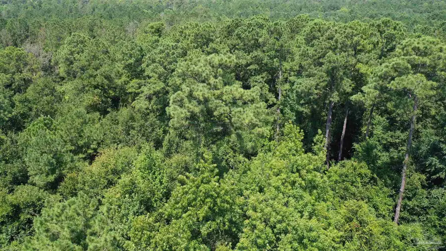 1 & 2 Jackson Cir, Brewton, AL 36426 - #3