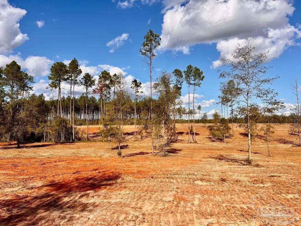 Lot 9 Denali Rd, Jay, FL 32565 - Image #1