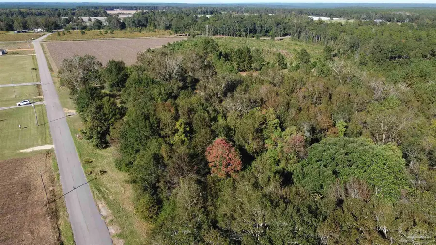 0 Cowpen Creek Rd, Atmore, AL 36502 - Image #3