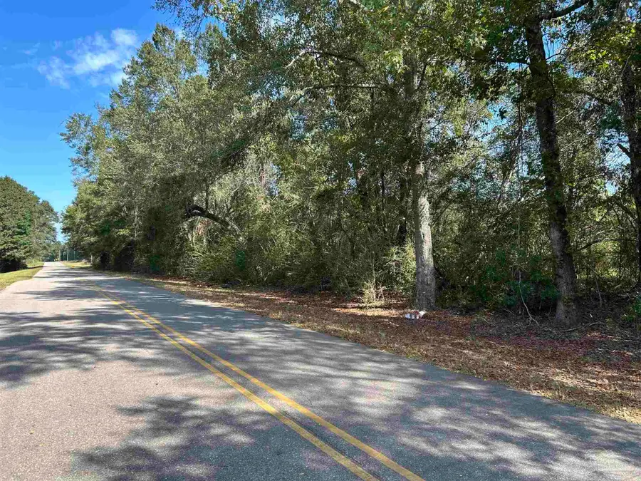 Lot C Beaver Creek Rd, Wing, AL 36483 - Image #3