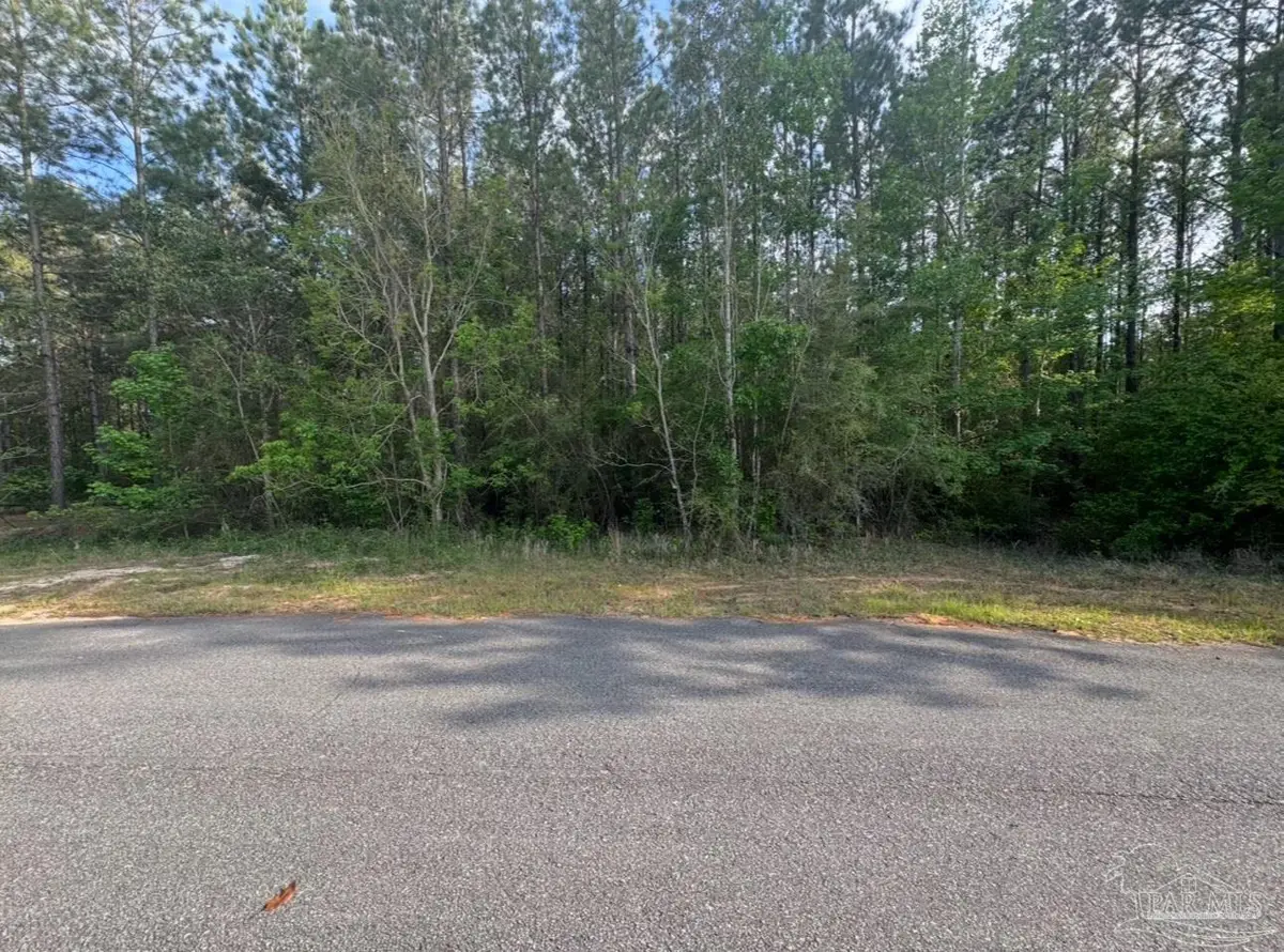 0000 Narrow Rd, Jay, FL 32565 - Image #1