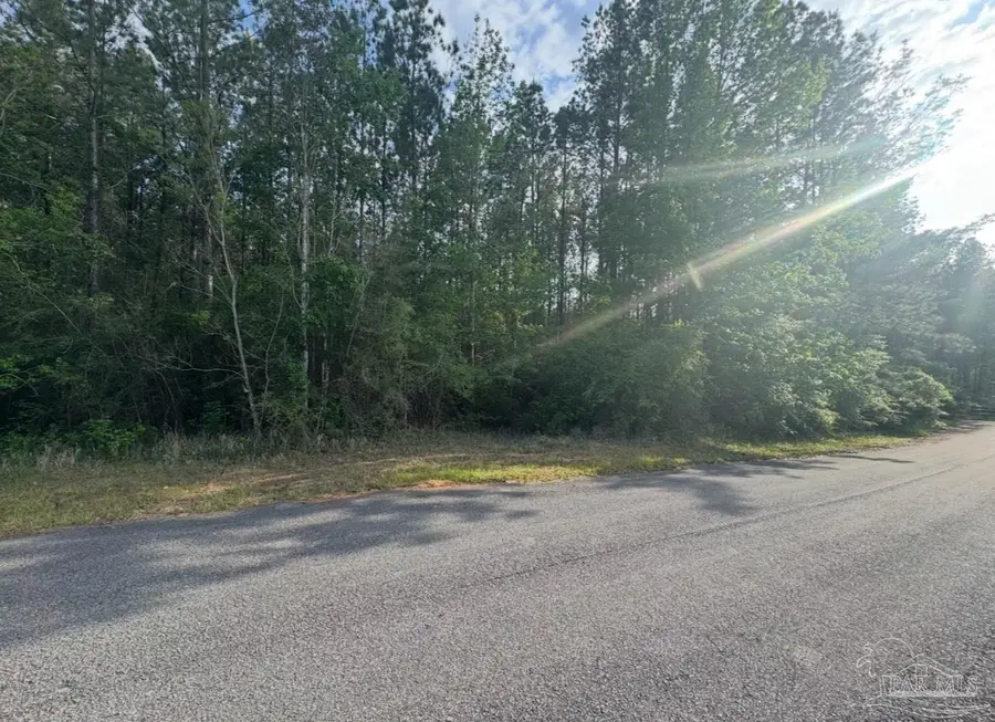 0000 Narrow Rd, Jay, FL 32565 - Image #2