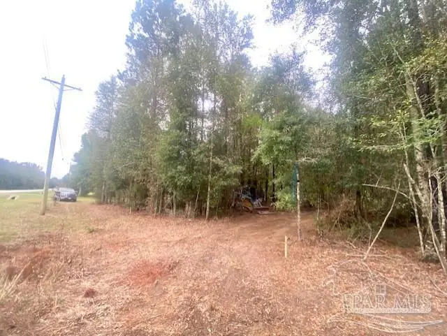 8 Acres Hwy 4, Jay, FL 32565 - Image #3