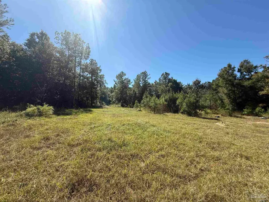 0000 Sid Hayes Rd, Jay, FL 32565 - Image #2