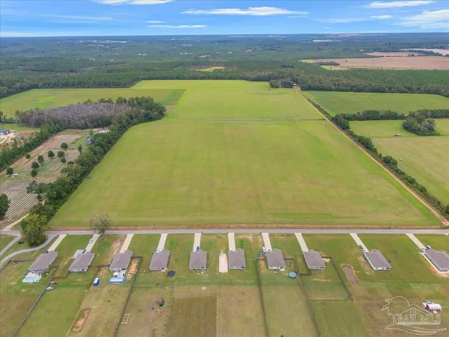 Molino Bridge Rd, Pace, FL 32571 - Image #3